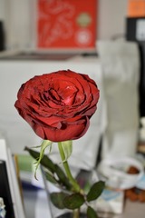 381FBD92-5D7D-4506-BB37-867319A665D7/L0/001
