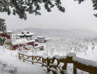 input/张懿华+峰岭雪景