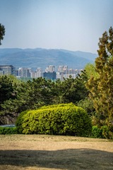 input/DSC07892