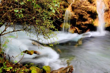 IMG_1337.JPG