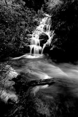 IMG_1364.JPG