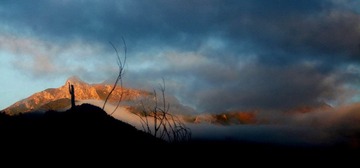 IMG_1637.JPG