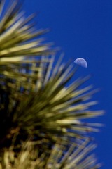 IMG_2925.JPG