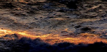 IMG_4260.JPG