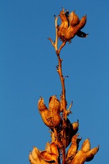 IMG_2330.JPG