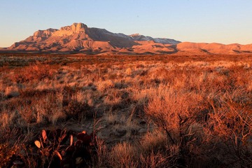 IMG_6966.JPG