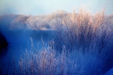 IMG_7445.JPG
