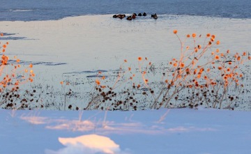 IMG_2153.JPG