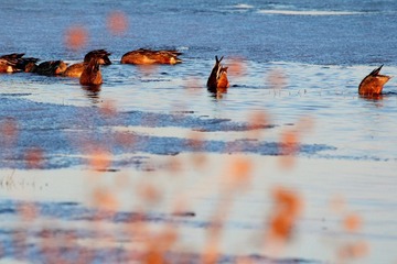 IMG_2163.JPG