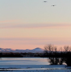 IMG_2203.JPG