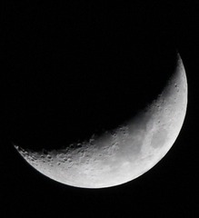 IMG_8046.JPG