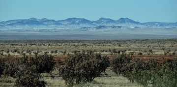 DSC_7031.JPG