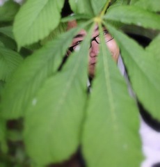 有点战争的意味呢