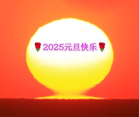 1000060222