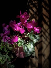 9C9C395B-62CD-4482-B126-E8325D0D35FE/L0/001