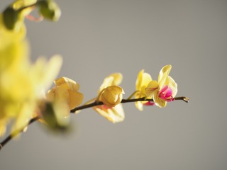 45E39D7C-7F52-429A-A2A1-4CA39C6516D9/L0/001