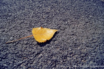 DSC00270a