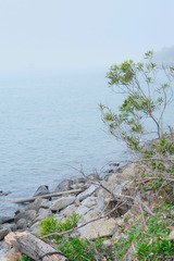 955CACEE-EE5D-4B69-91E6-399002D5C2CB/L0/001