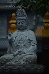 120209