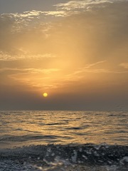 7E35C661-5D33-493E-A232-6CCA82677B22/L0/001
