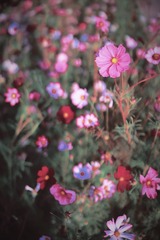 49EF1CF5-6427-4615-B0DF-C8182B7E480A/L0/001