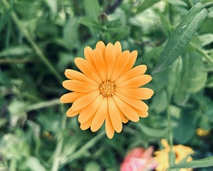 8994C14E-F5B9-4B95-A8D3-460AE90A4447/L0/001
