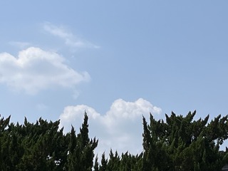 44D674ED-FB07-4F16-B48C-B0E483122100/L0/001