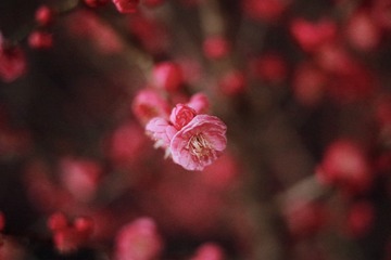1EA28041-4147-43C0-A8B9-AEB256C16EBA/L0/001