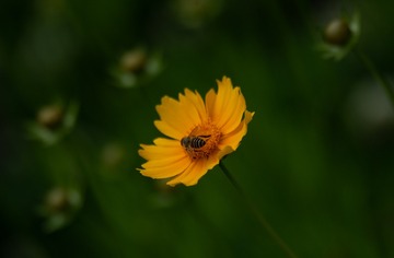 2F46A650-F823-42DB-A2C7-2B3119158863/L0/001
