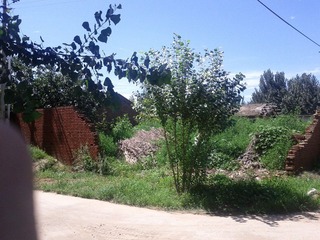 IMG_20120722_140801.jpg