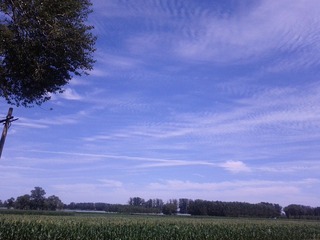 IMG_20120722_140904.jpg