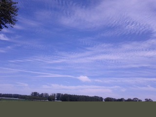 IMG_20120722_140907.jpg