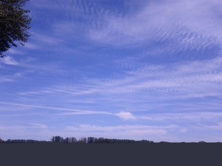 IMG_20120722_140913.jpg