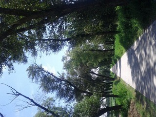 IMG_20120722_140927.jpg