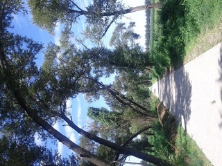 IMG_20120722_140932.jpg