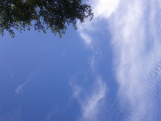 IMG_20120722_140943.jpg