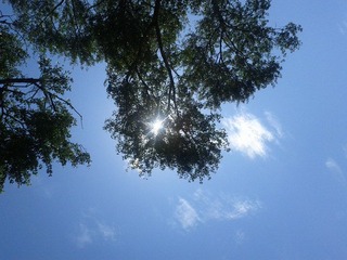 IMG_20120722_141049.jpg