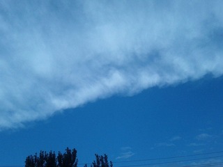 IMG_20120722_060334.jpg
