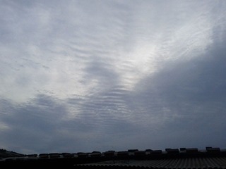 IMG_20120722_060354.jpg