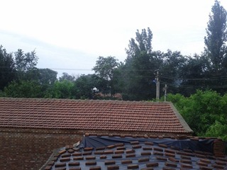 IMG_20120722_061632.jpg