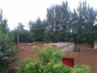 IMG_20120722_061637.jpg