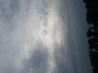 IMG_20120722_062038.jpg
