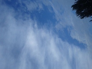 IMG_20120722_062042.jpg