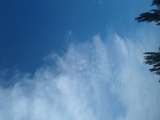 IMG_20120722_065414.jpg