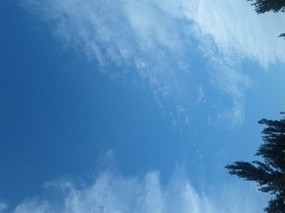 IMG_20120722_065419.jpg