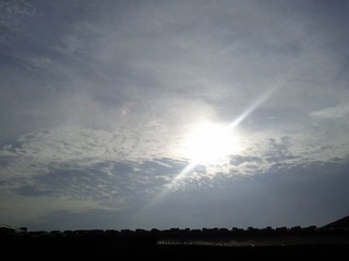 IMG_20120722_065919.jpg