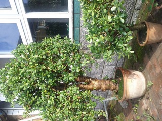 IMG_20120722_070028.jpg