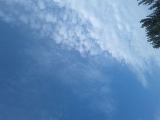 IMG_20120722_070052.jpg
