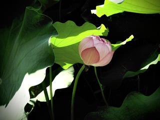 878EA229-CF3D-468B-AA1D-F450F080FBF6/L0/001