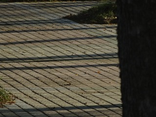 29810EF1-A814-4364-BB39-772DA8DFAA2E/L0/001